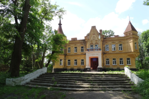 Дворец Терещенко, Турчиновка